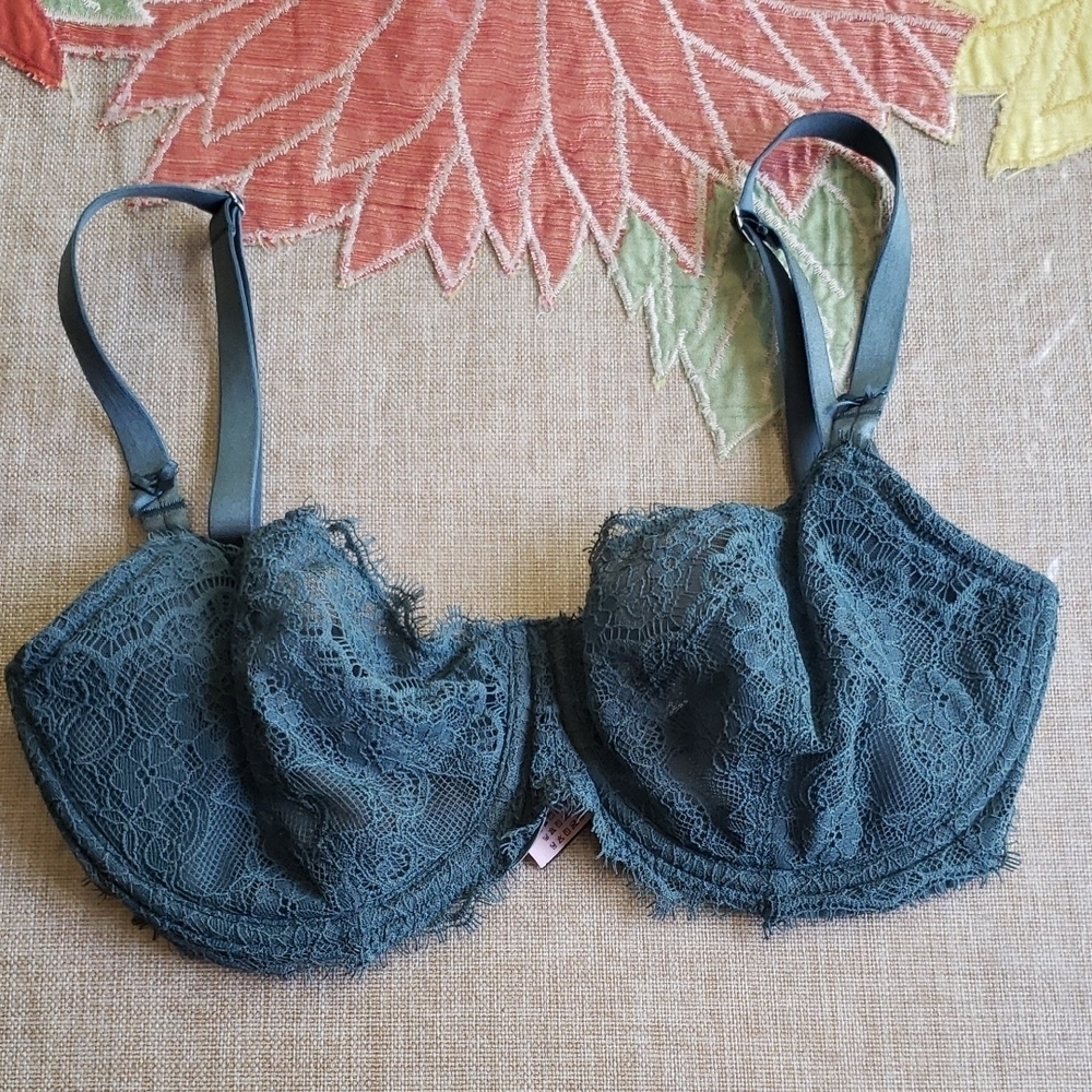 Dobreva Elegant Lace Underwire Bra in Green 32E